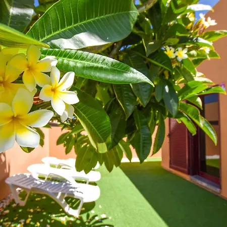 Fuerte Holiday Casa & Terrazza With Pool Villa